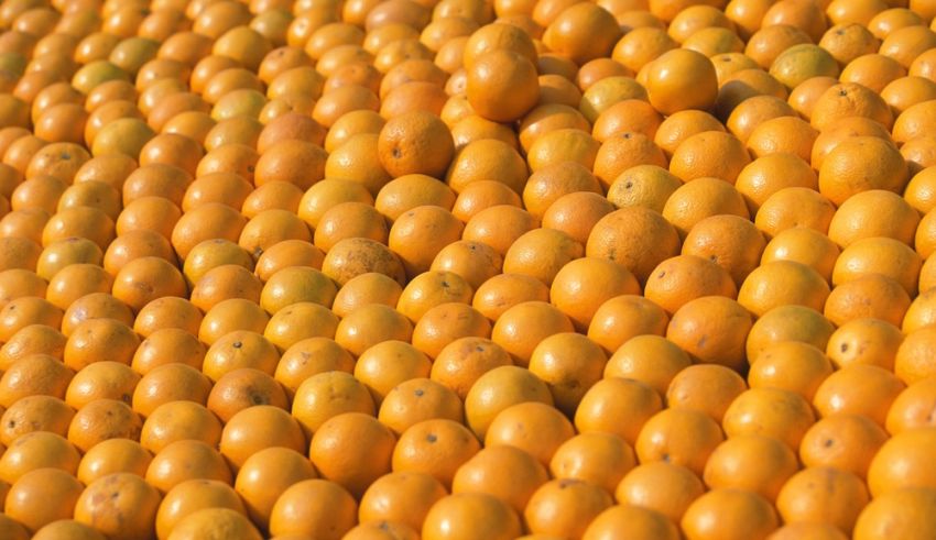Brazilian Orange